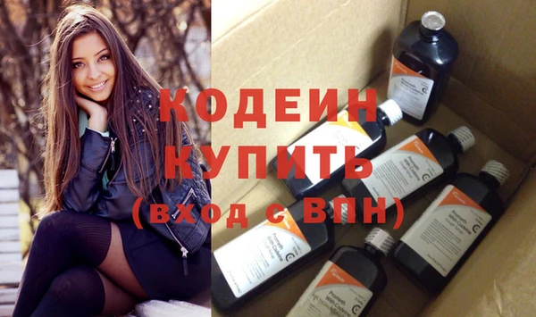 хмурый Бородино
