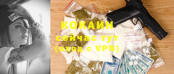 хмурый Бородино