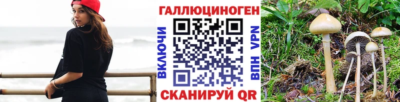 продажа наркотиков  Выкса  Псилоцибиновые грибы Psilocybine cubensis 