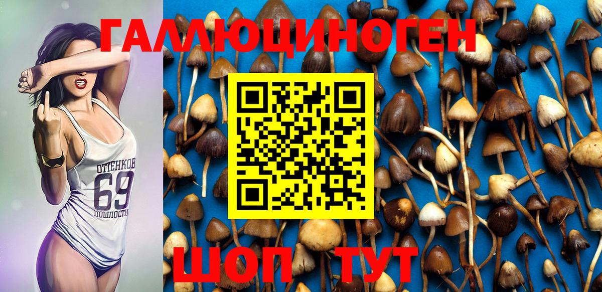 Псилоцибиновые грибы мухоморы  Выкса 