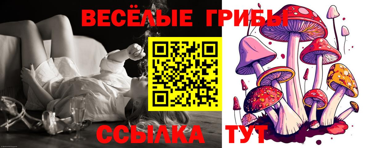 Псилоцибиновые грибы ЛСД  Вход с VPN  Галлюциногенные грибы Cubensis  Выкса 